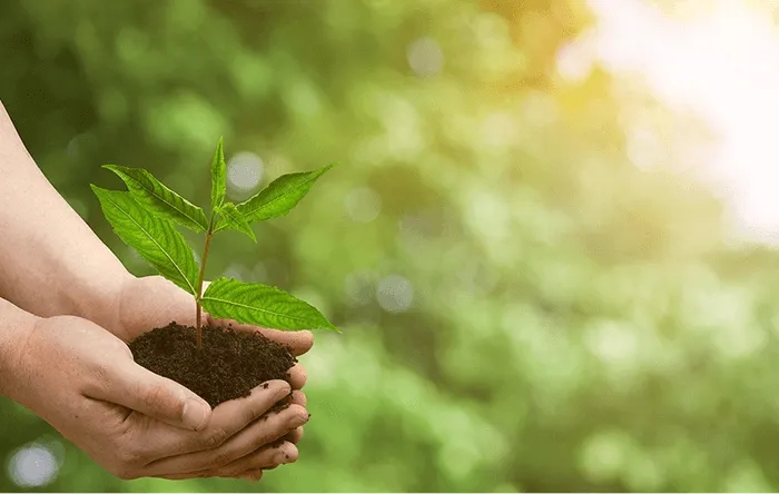 Nonwoven factory in line with the concept of sustainable development